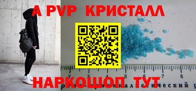 шишки Аргун