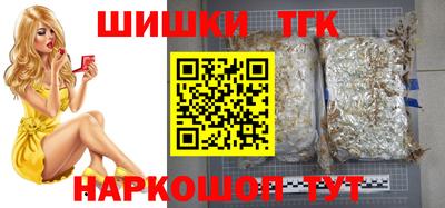 шишки Аргун