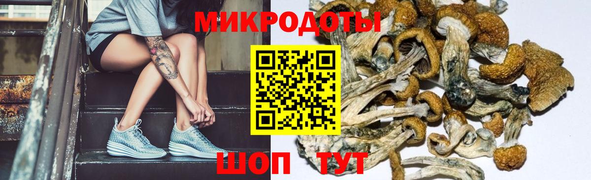 Псилоцибиновые грибы MAGIC MUSHROOMS  Вход с VPN  Воскресенск 